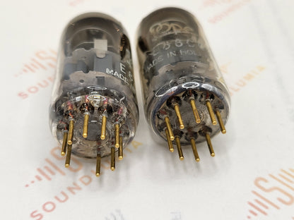 Philips E88CC 6922 SQ O-Getter – Heerlen