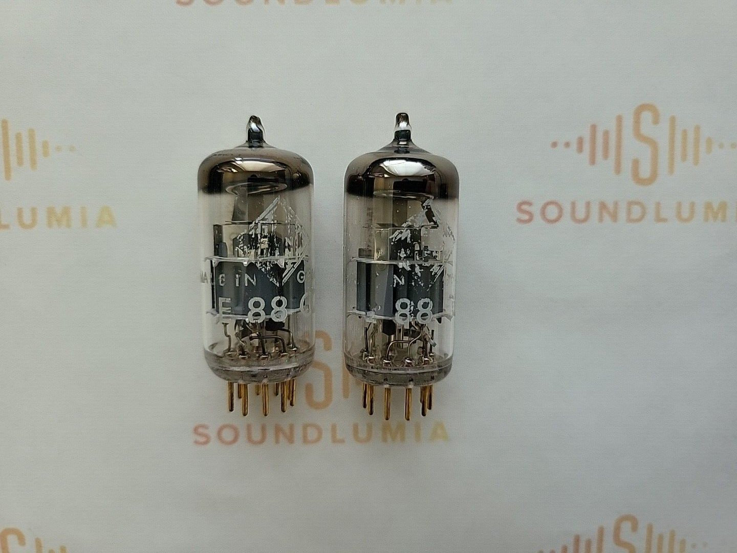 Telefunken E88CC 6922 ◇ Bottom