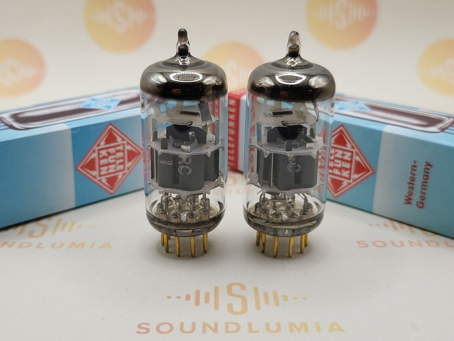 Telefunken E88CC 6922 ◇ Bottom
