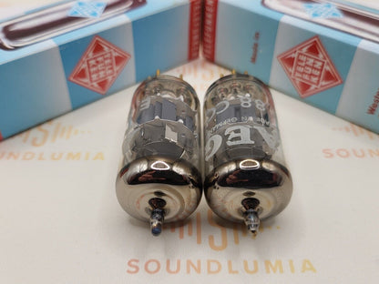 Telefunken E88CC 6922 ◇ Bottom