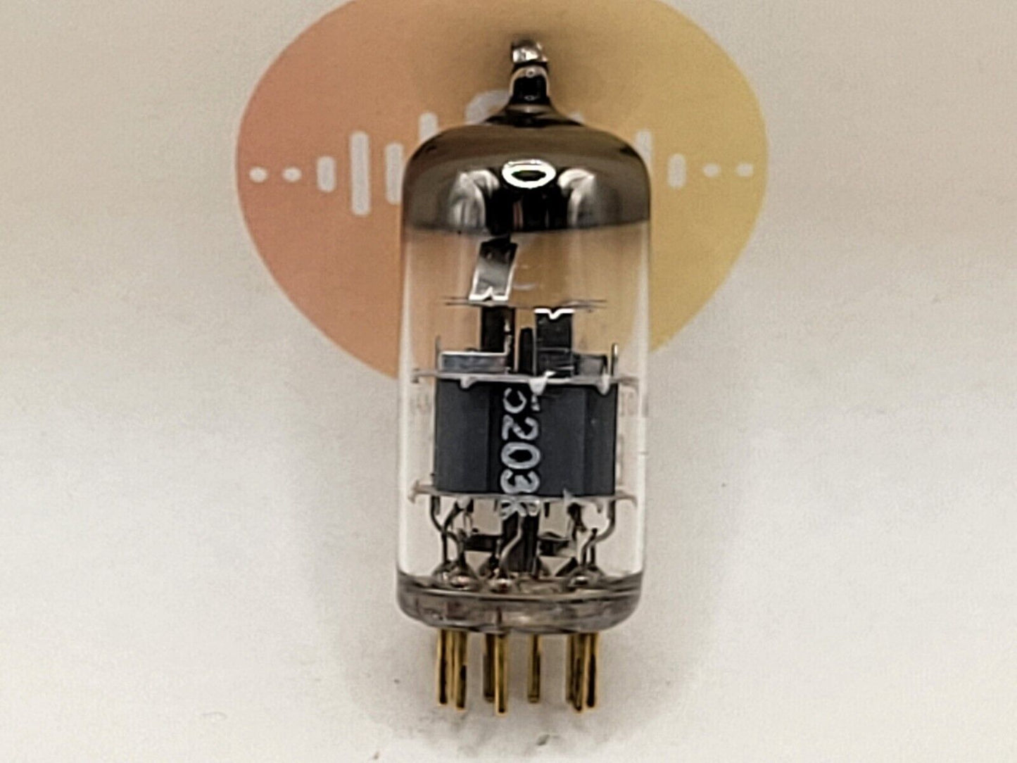 Telefunken E88CC 6922 ◇ Bottom