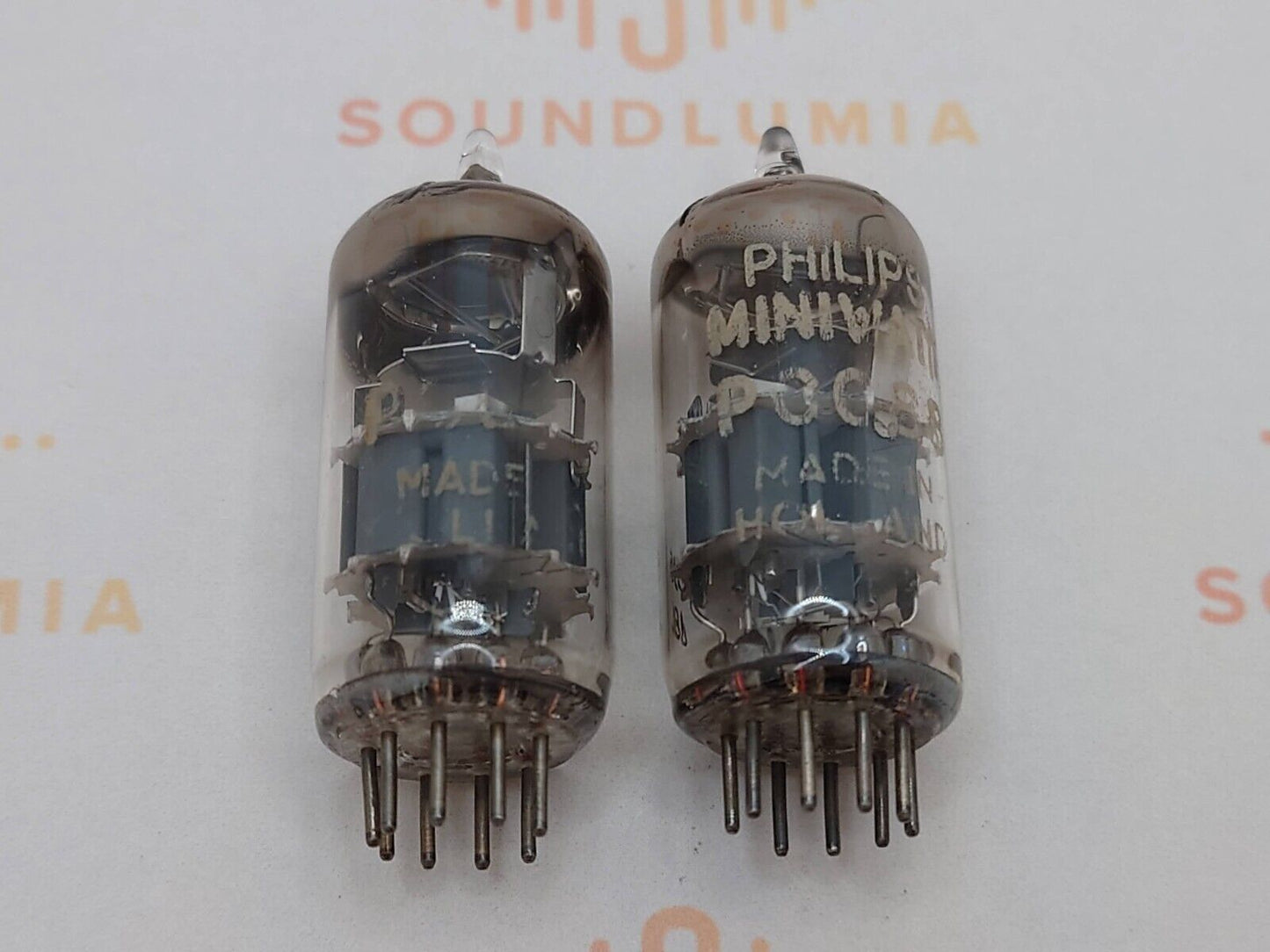44310447
