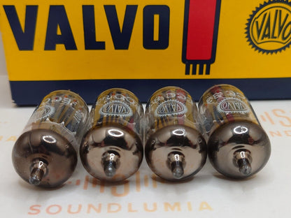Valvo ECC83 12AX7 Short Plates Matched Quad – Heerlen, NL '70 – gleicher Code – NOS+ 