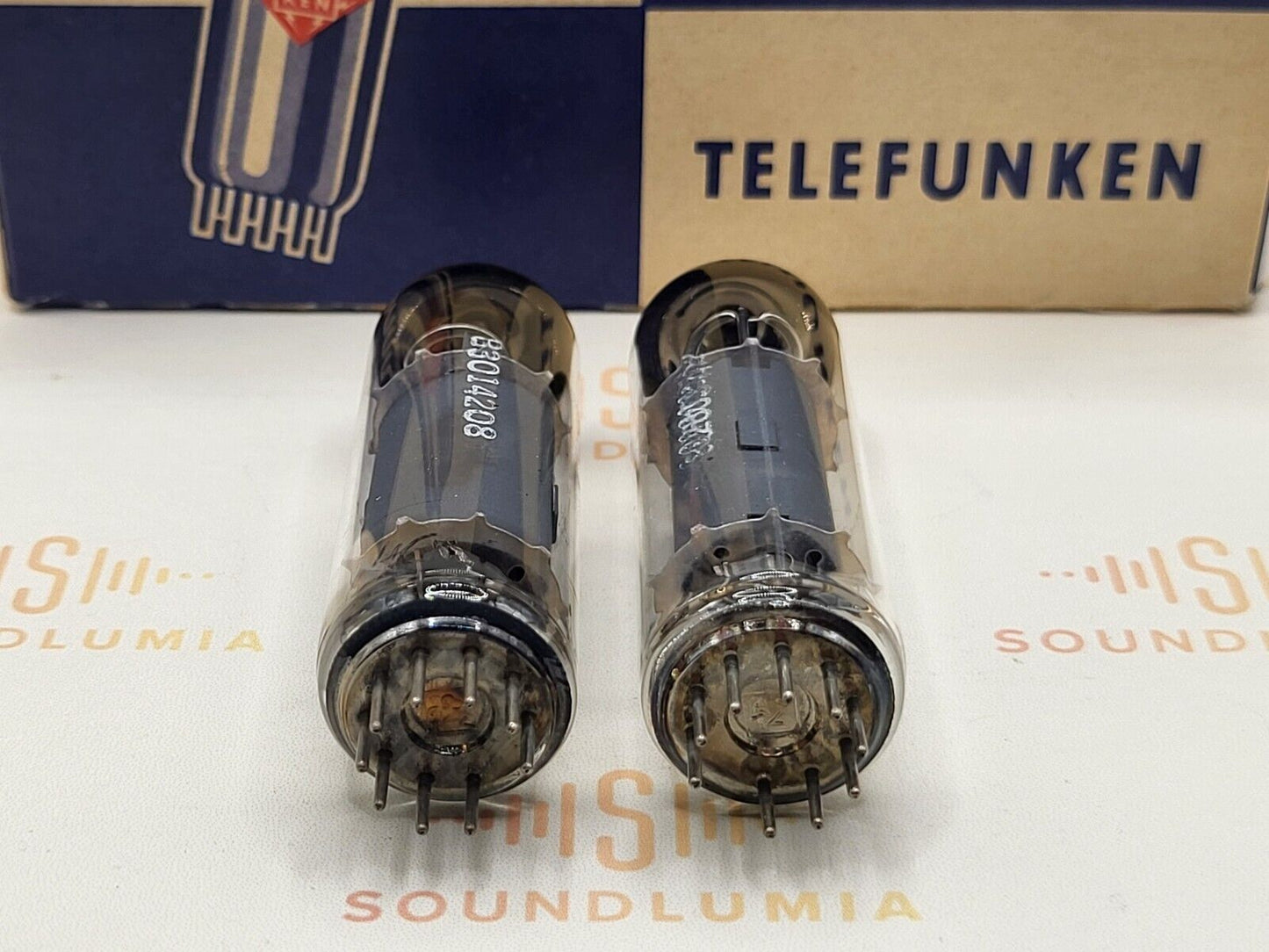 Telefunken EL84 6BQ5 ◇ Bottom Berlin