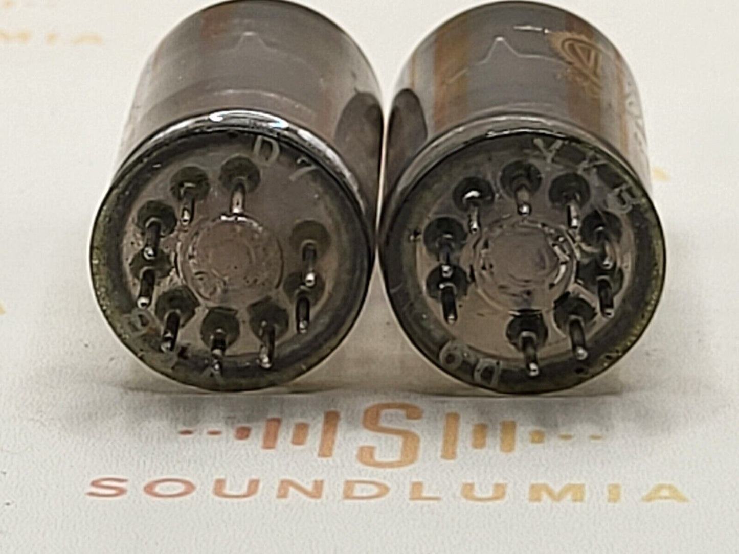Valvo ECC81 D-Getter Münzboden YKB 