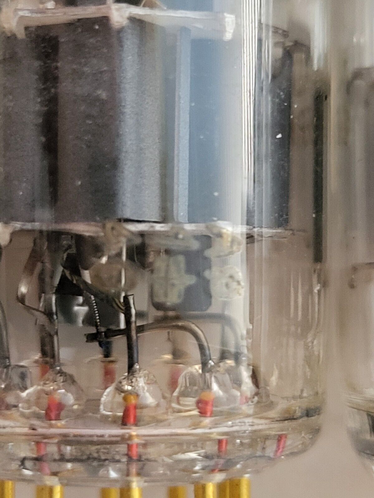 Siemens E88CC 6922 Gray Shields