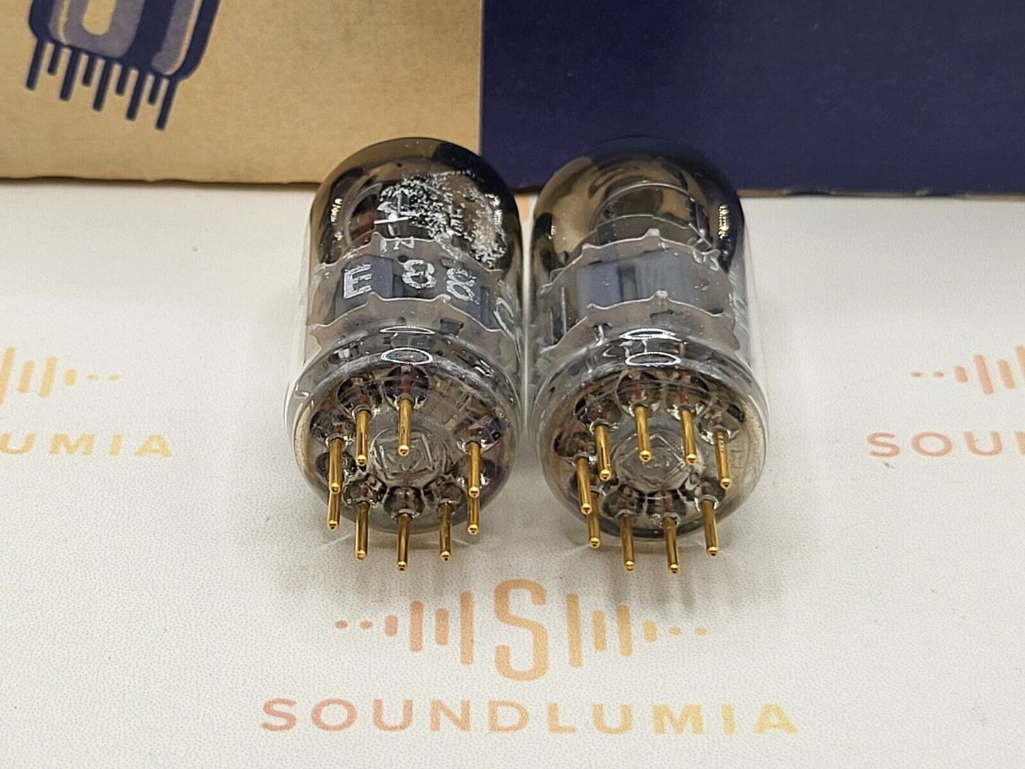 Telefunken E88CC 6922 ◇ Bottom