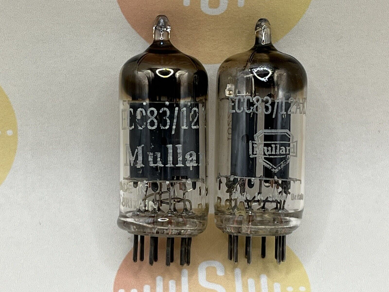44016304