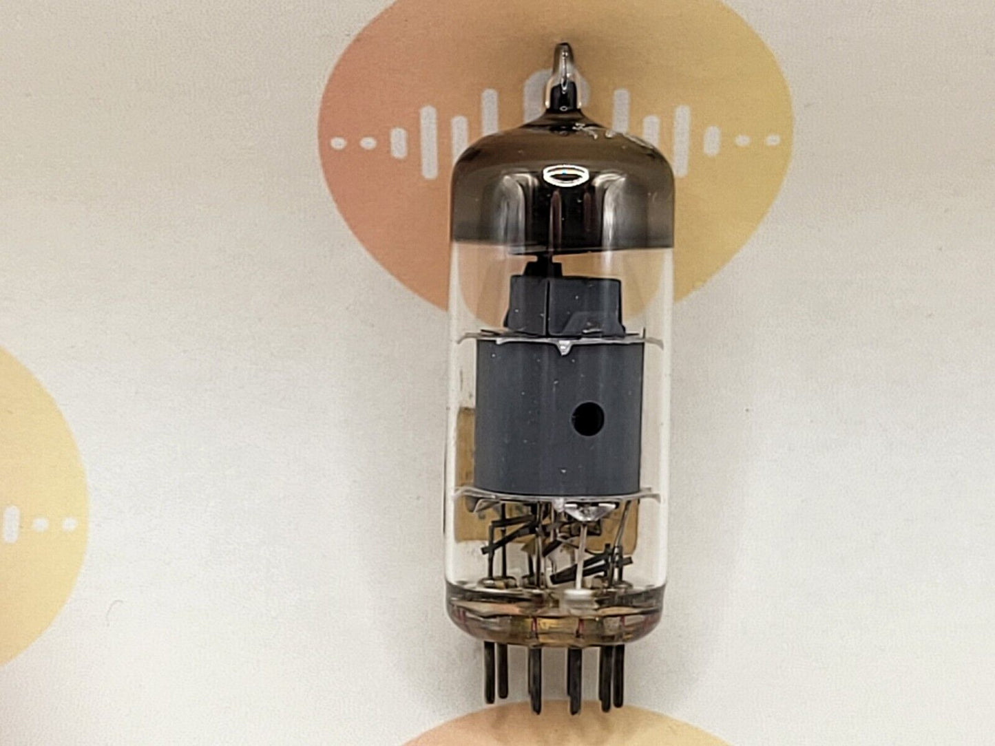 1x Telefunken EF804S Labormuster (Lab Prototypen) - ◇ Unten - Stark