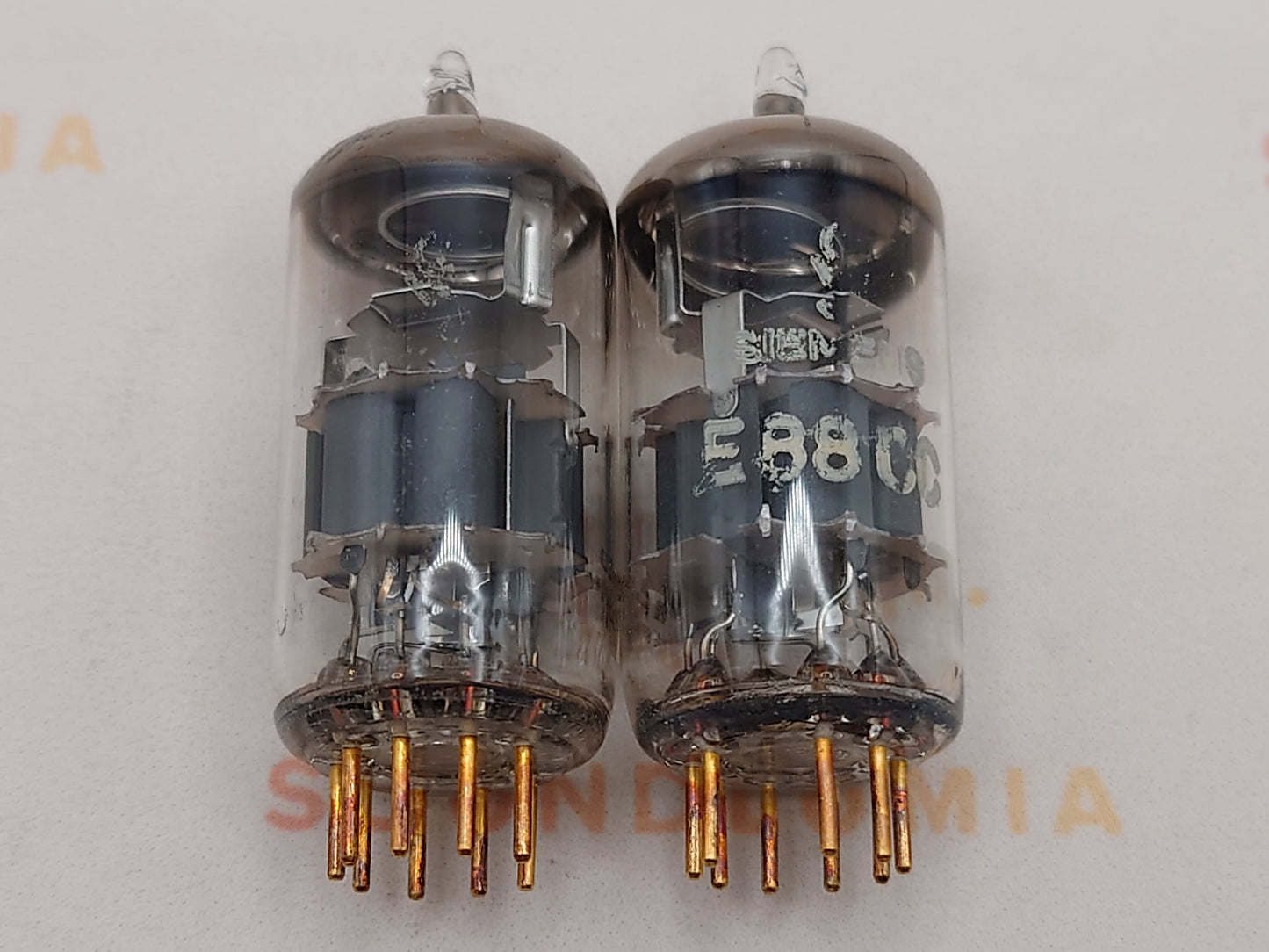 西门子 E88CC 6922 灰色护罩