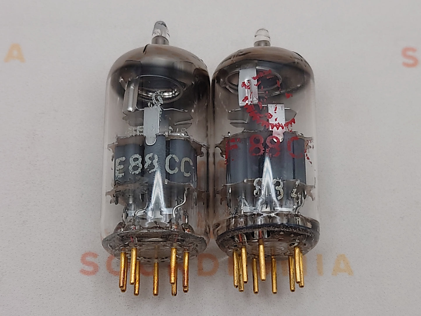 西门子 E88CC 6922 灰色护罩