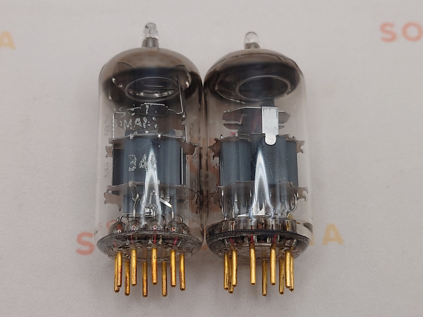 西门子 E88CC 6922 灰色护罩