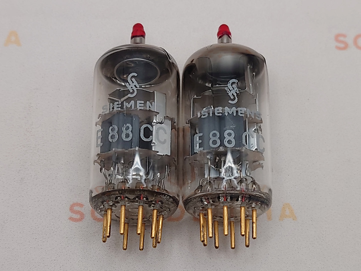 西门子 E88CC 6922 灰色护罩