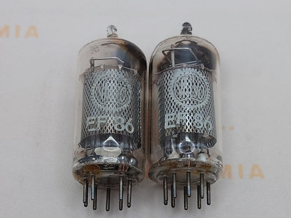 Mullard EF86 Long Mesh Plates Square Getter