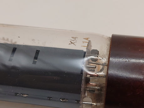 Mazda EL34 vacuum tube with DD Getter and Brown Base, image 34