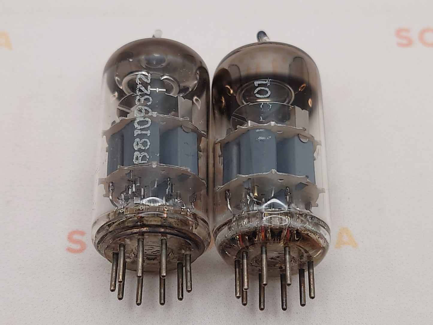 Telefunken PCC88 7DJ8 ◇ Bottom