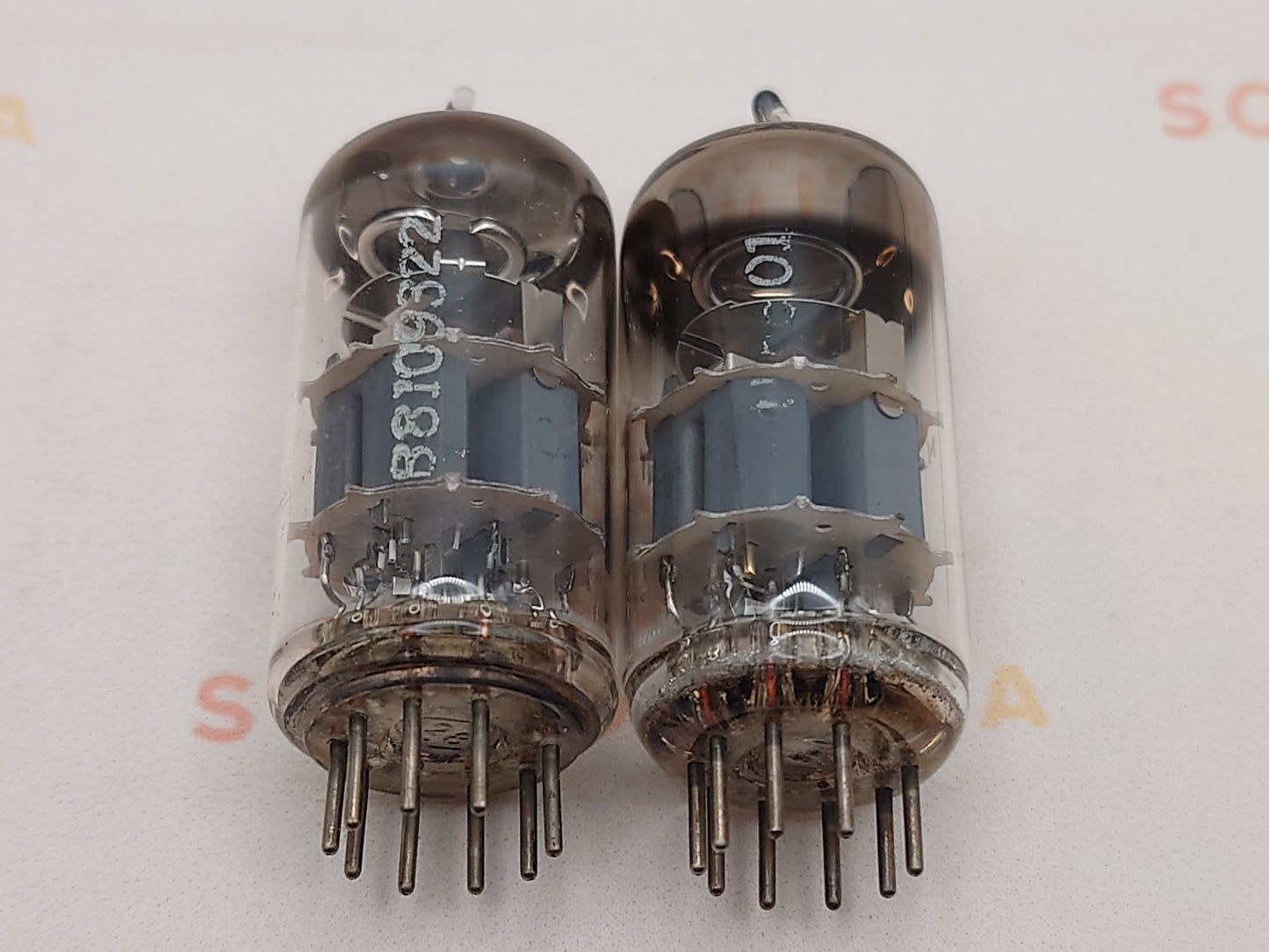 Telefunken PCC88 7DJ8 ◇ Fond