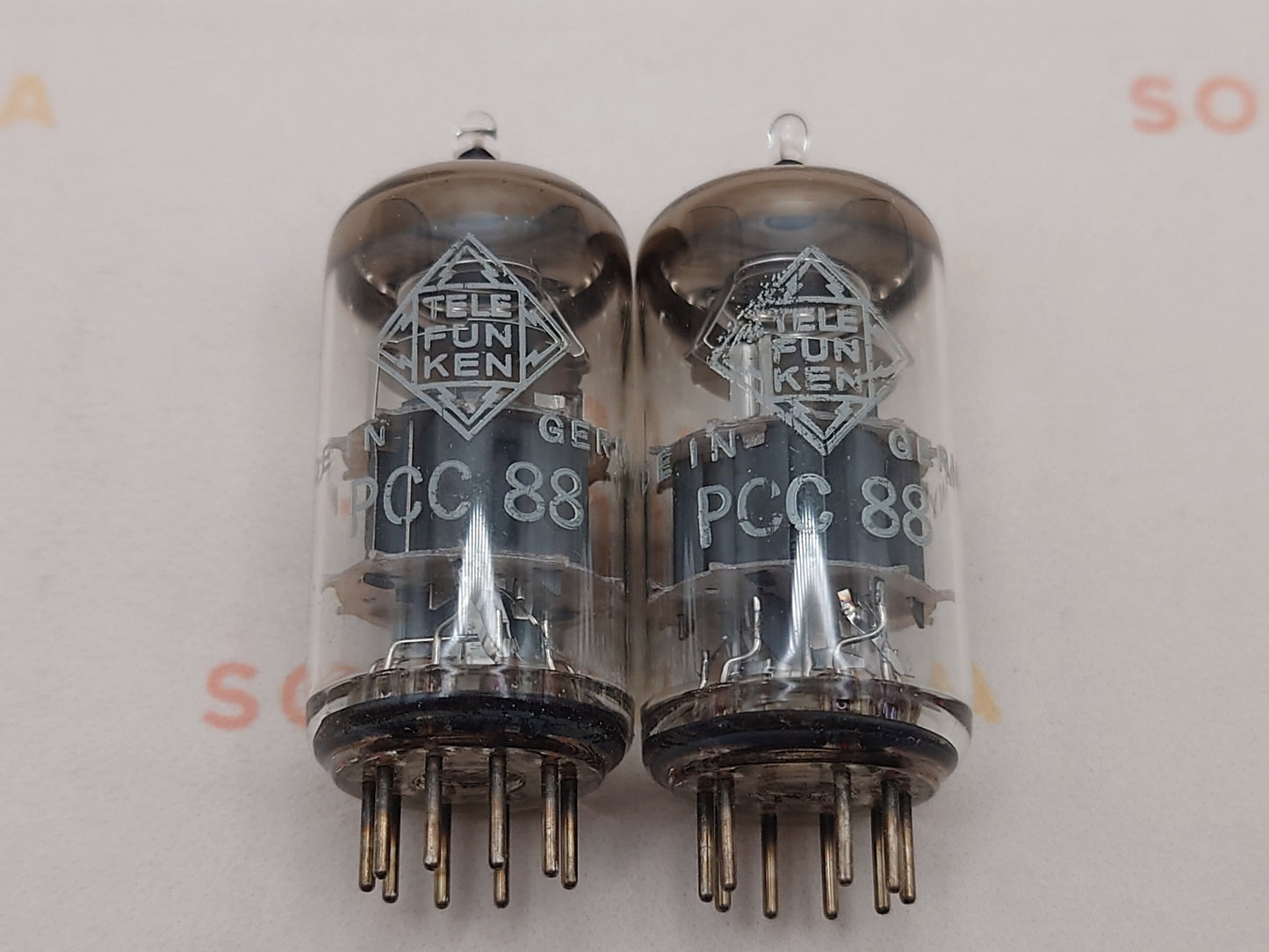 Telefunken PCC88 7DJ8 ◇ Fond