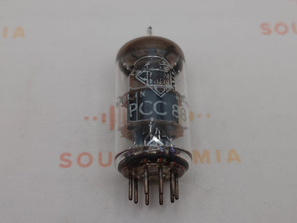 Telefunken PCC88 7DJ8 ◇ Fond