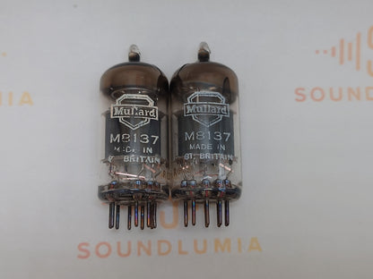 Mullard CV4004 Kastenplatten (Mitcham, GB)