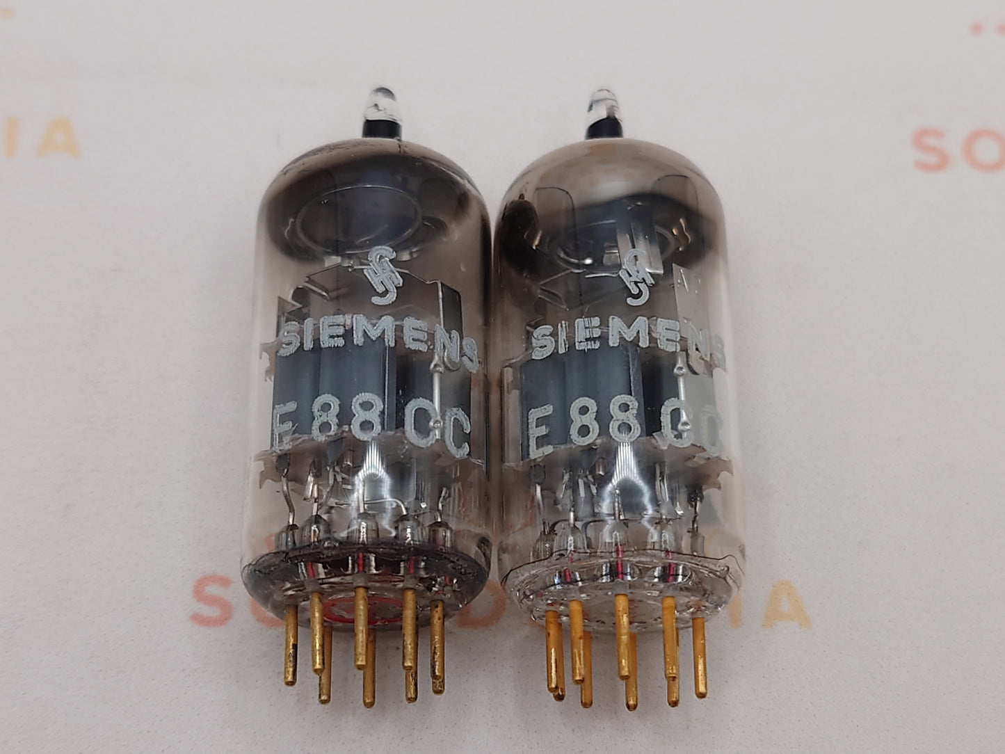 Siemens E88CC 6922 Silver Shields - Germany