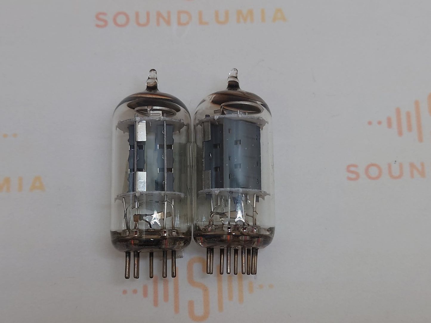 Telefunken ECC802S 6189 ◇ Fond
