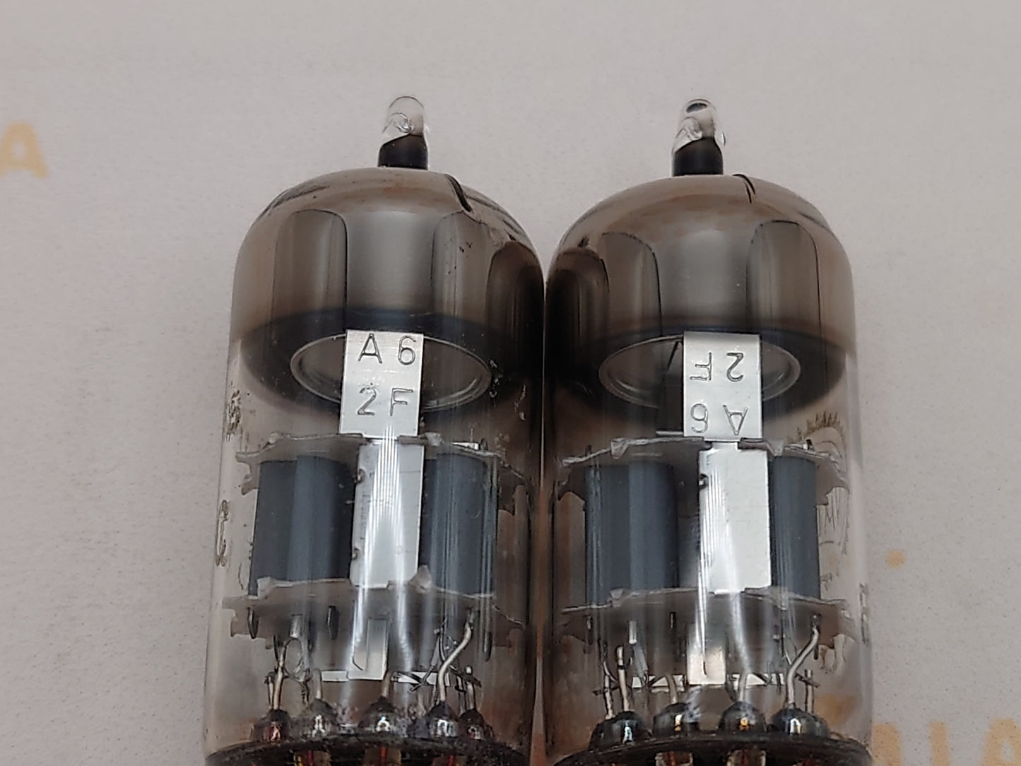 西门子 E88CC 6922 银盾 - 德国