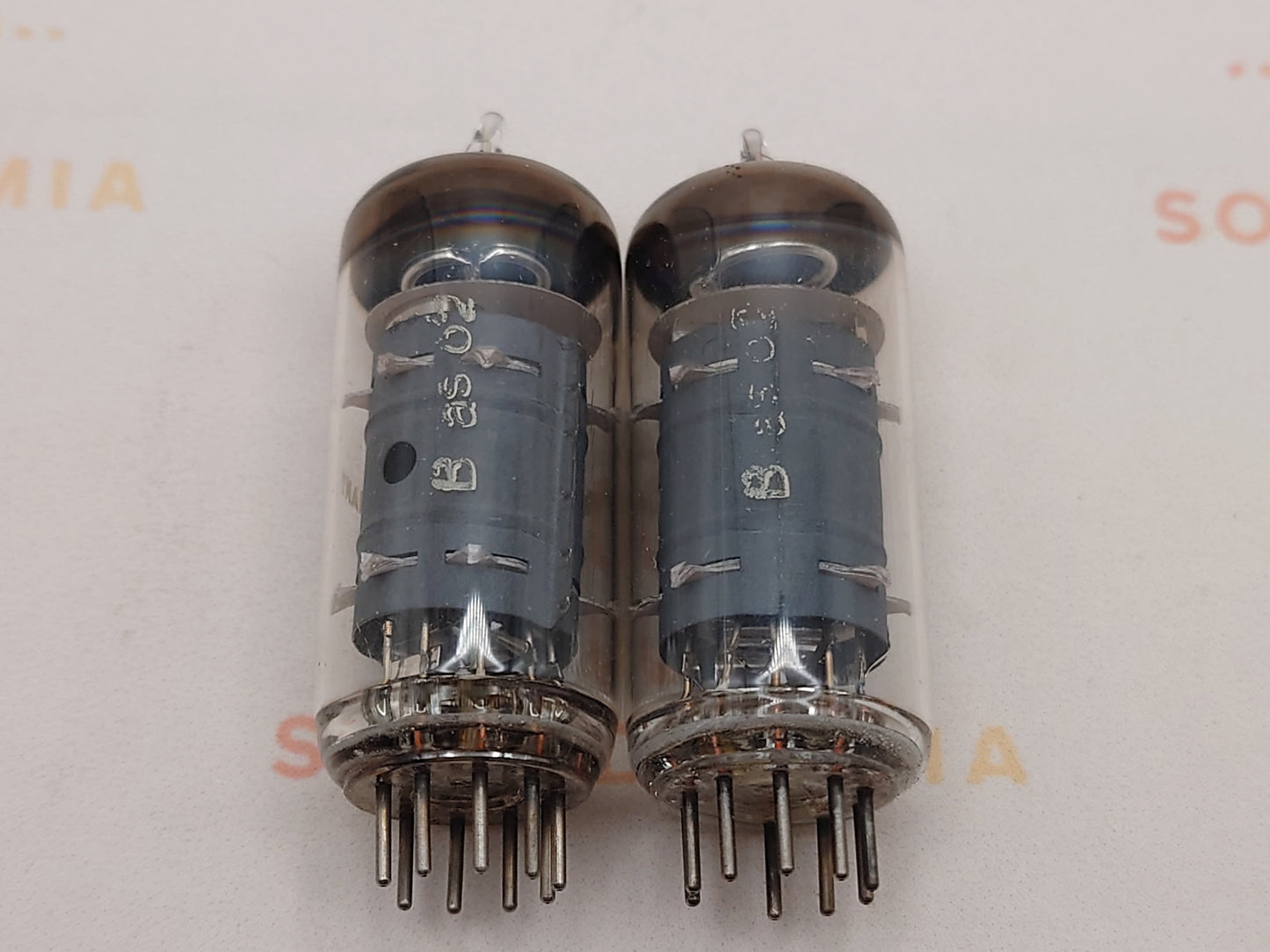 Telefunken EF804 Gray Plates O-getter ◇ Bottom