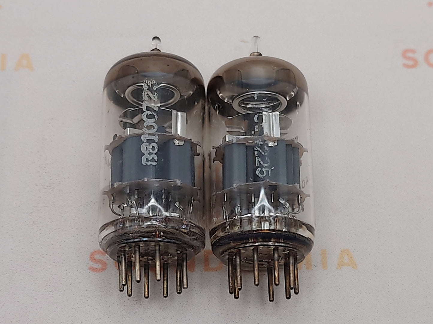 德律风根 PCC88 7DJ8 ◇ 底部