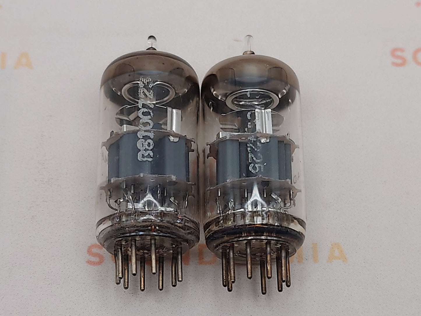 Telefunken PCC88 7DJ8 ◇ Fond