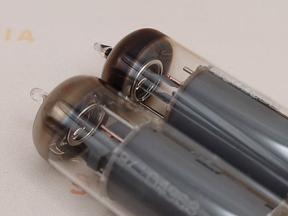 Telefunken EL84 6BQ5 ◇ Inferiore Berlino