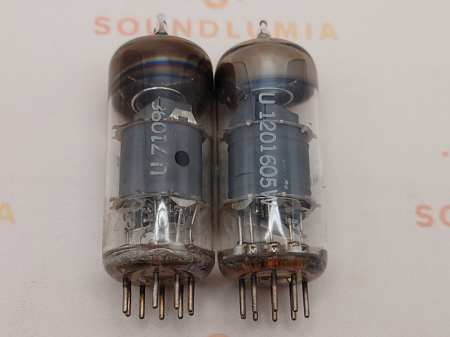 Telefunken EF804S Getter O ◇ Inferiore