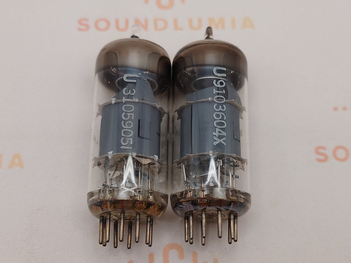 Telefunken EF804S Getter O ◇ Inferiore