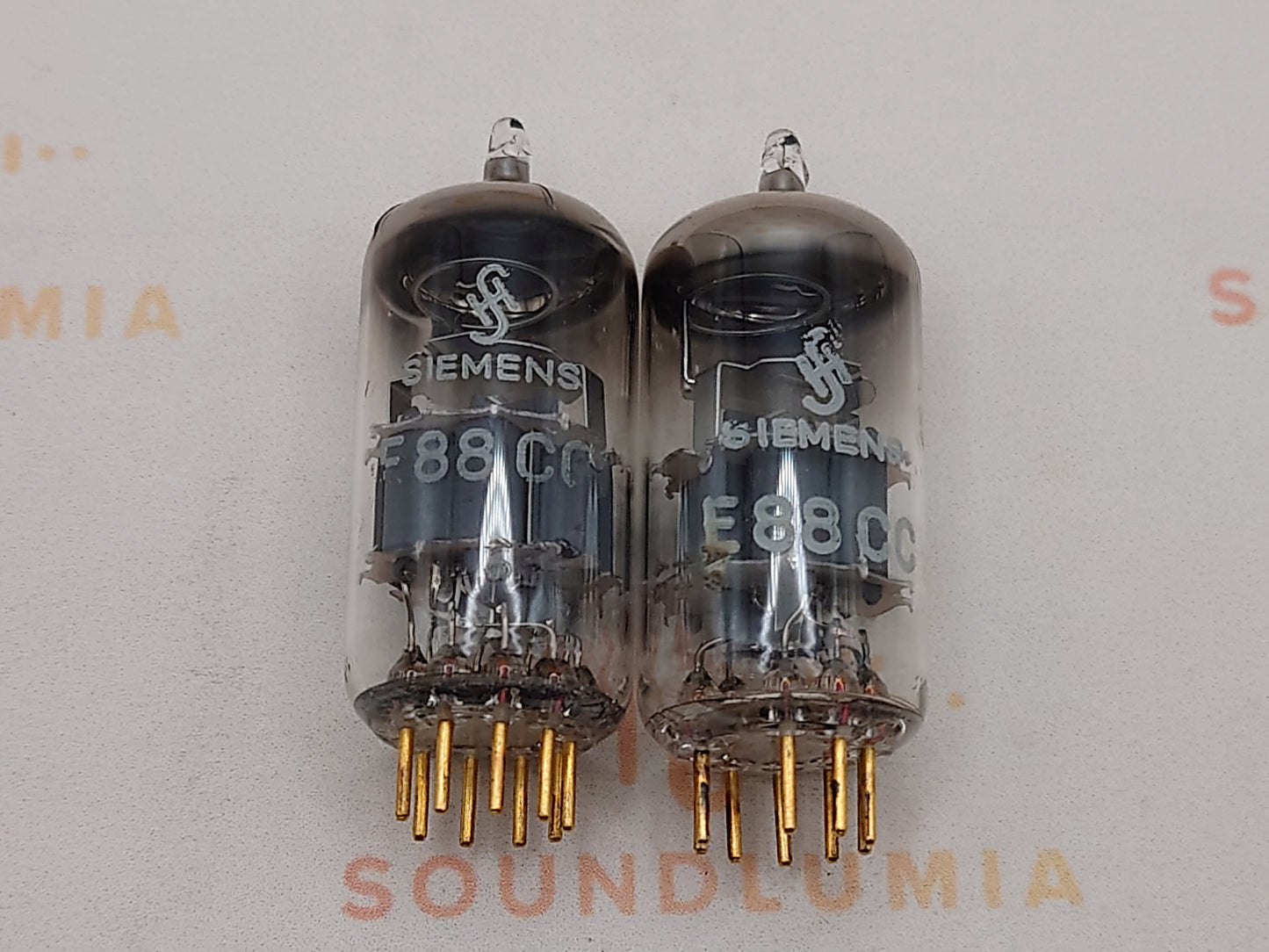 Siemens E88CC 6922 Graue Schilder 