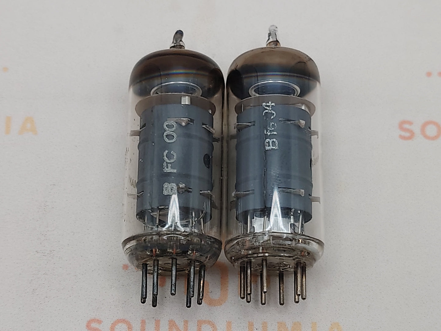 Telefunken EF804 Gray Plates O-getter ◇ Bottom