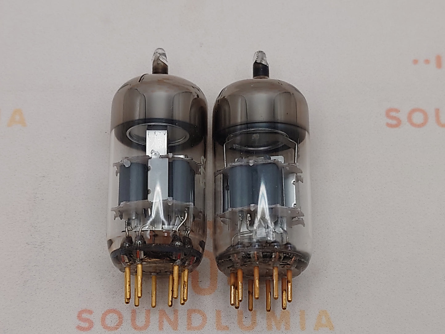 Siemens CCa (E88CC+) Silver Shields Munich