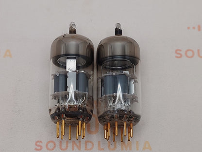 Siemens CCa (E88CC+) Silver Shields Munich