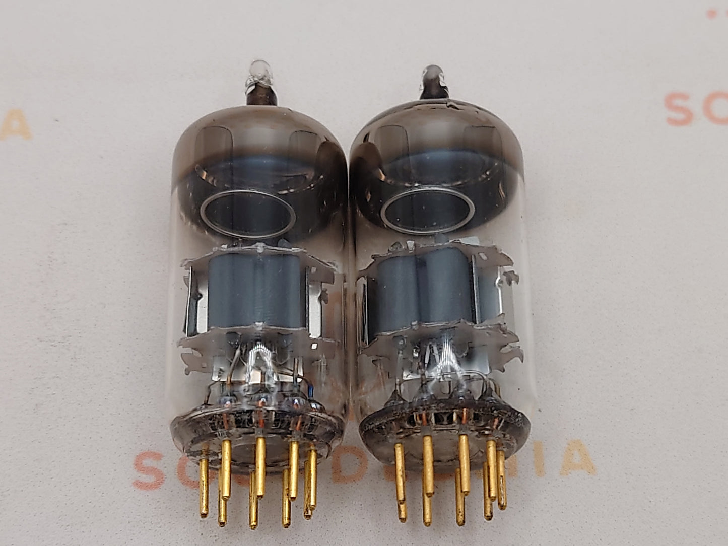 西门子 CCa (E88CC+) 银盾慕尼黑