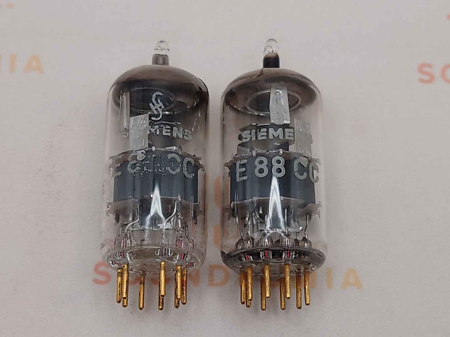 Siemens E88CC 6922 Gray Shields