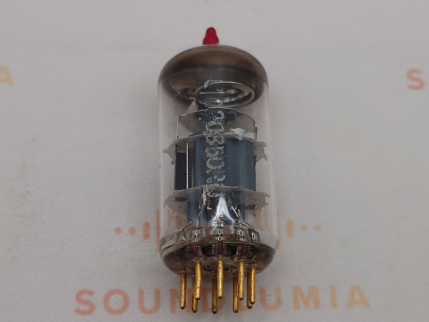 Telefunken E88CC 6922 ◇ Fond