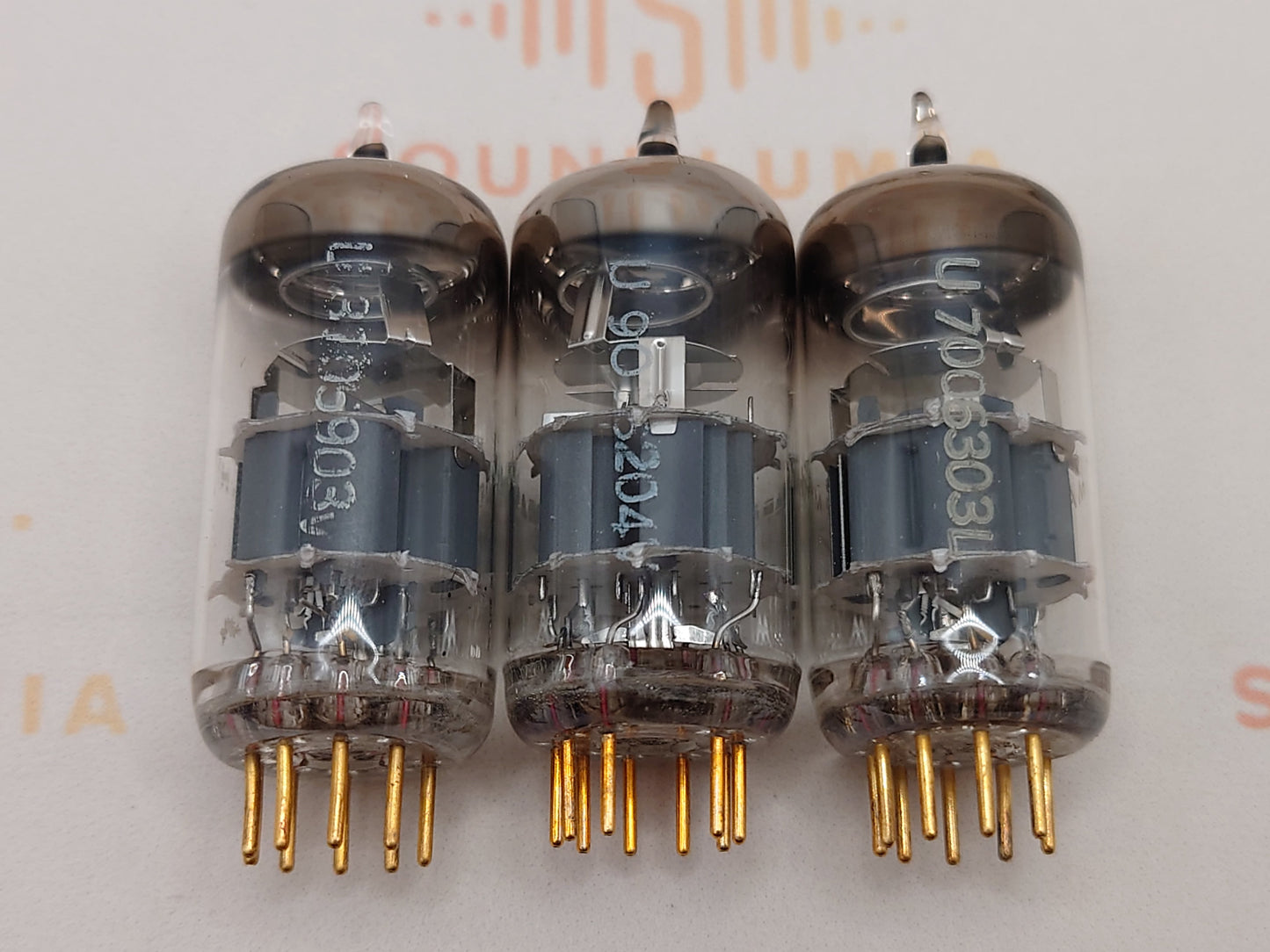 Telefunken E88CC 6922 ◇ Fond