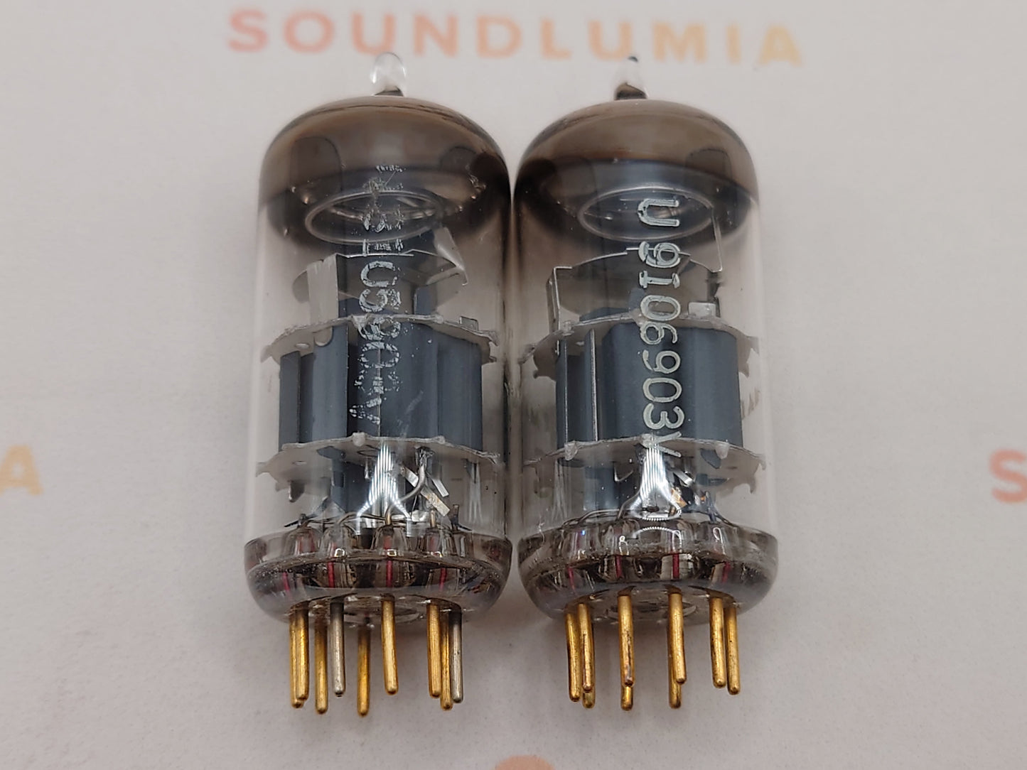Telefunken E88CC 6922 ◇ Fond