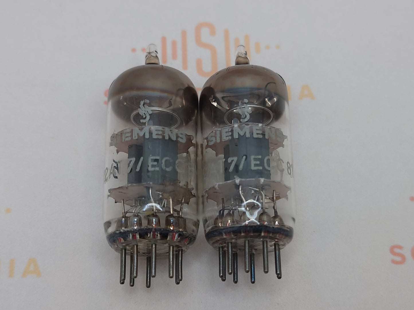 Siemens ECC81 12AT7 O-getter – Munich