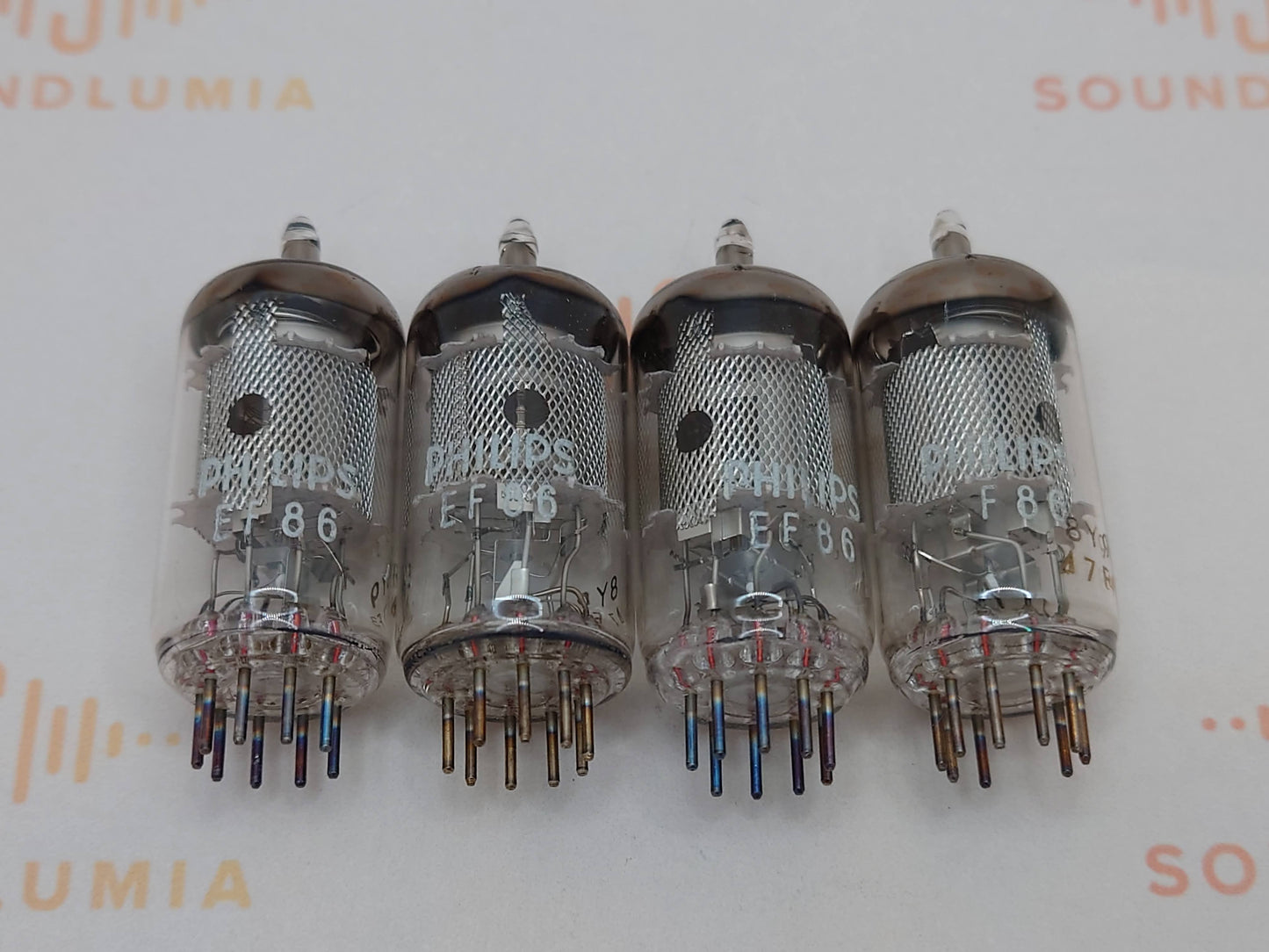 4x Philips EF86 6267 Mesh Plates O-Getter - Heerlen NL 1967 - NOS+