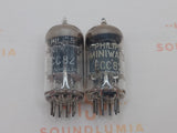 Philips ECC82 12AU7 Plaques courtes O-getter - Heerlen