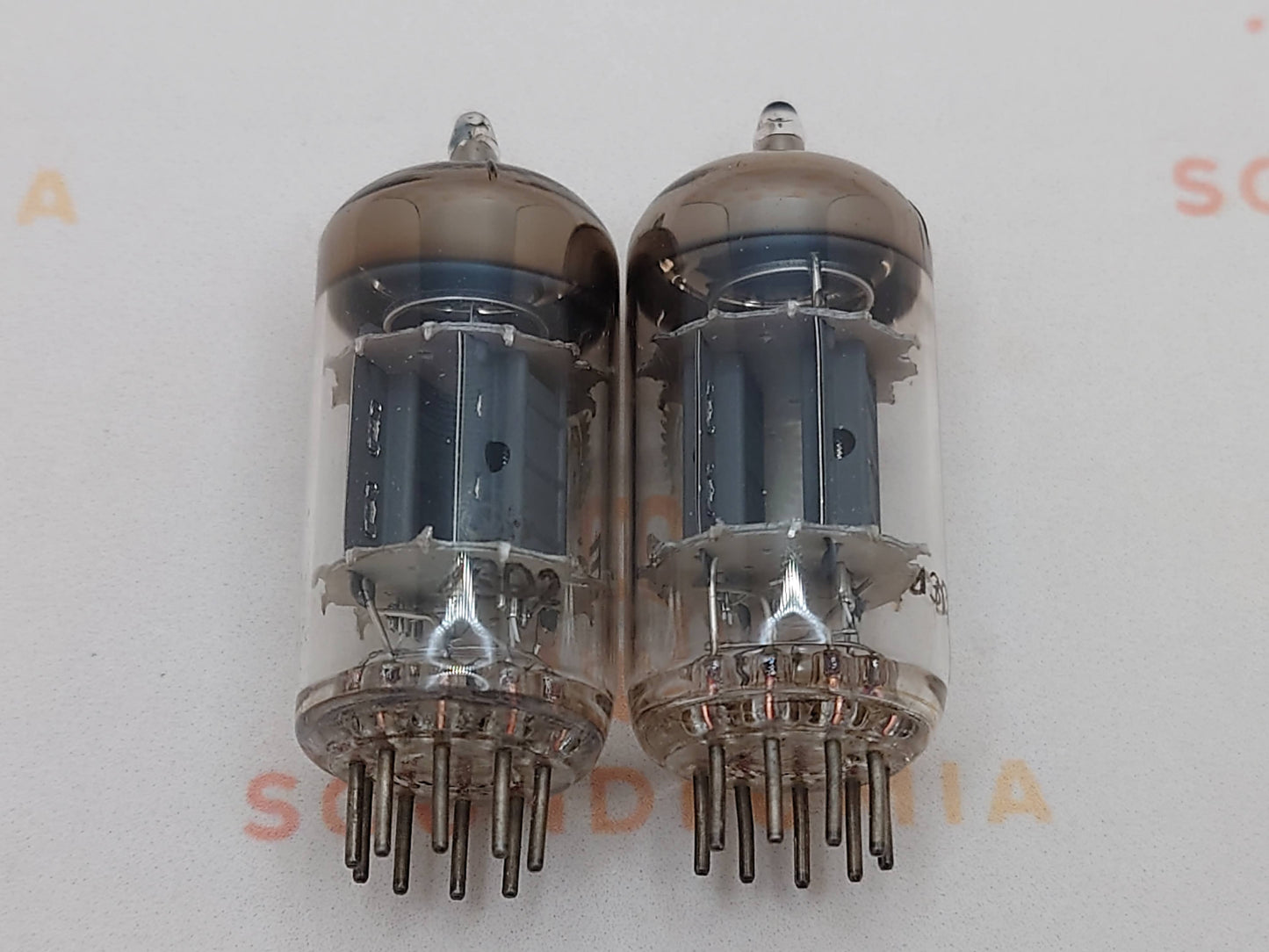 Valvo ECC82 12AU7 O-Getter Short plates Heerlen, NL