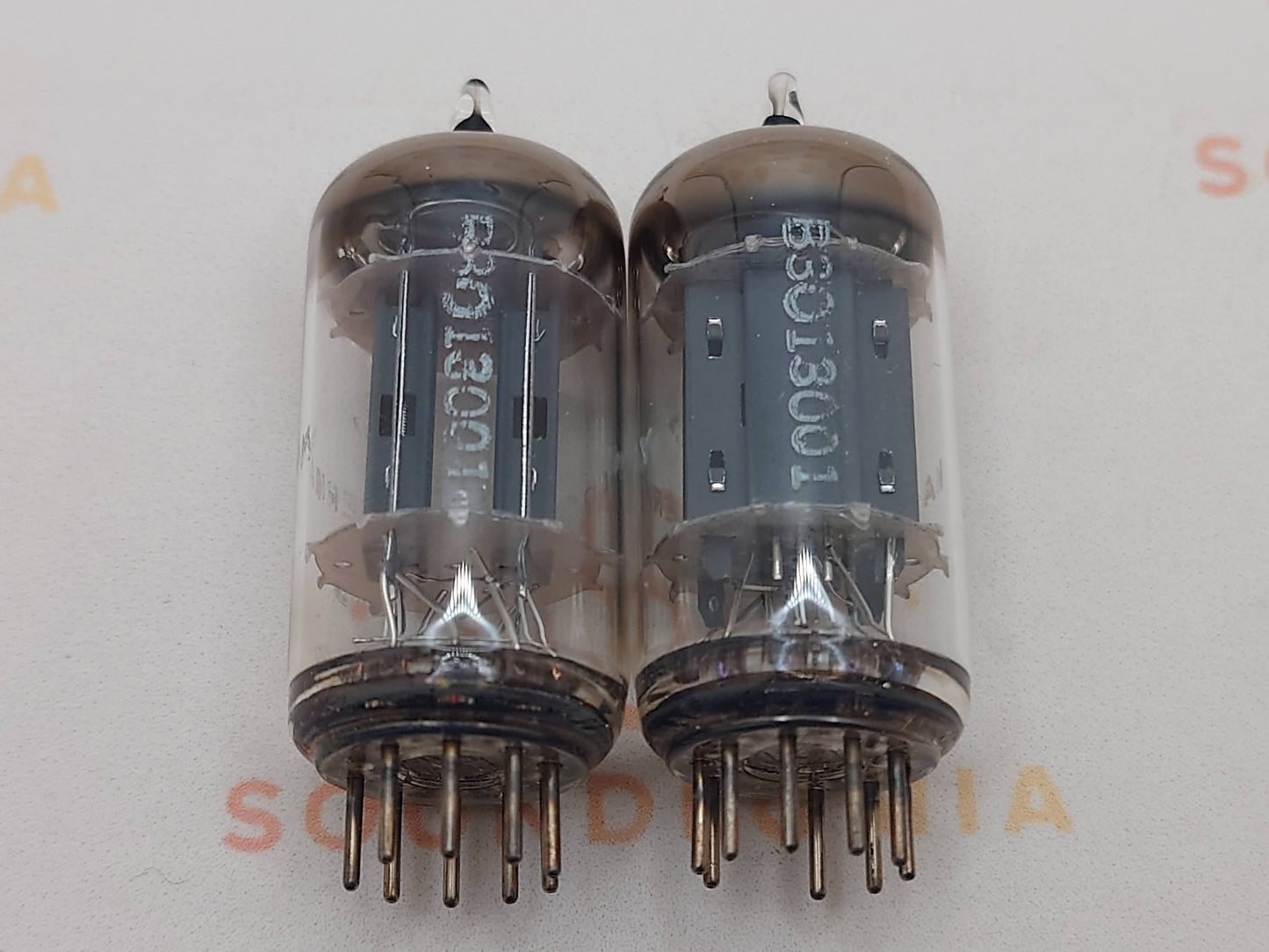 Telefunken ECC83 12AX7 Plaques lisses Berlin