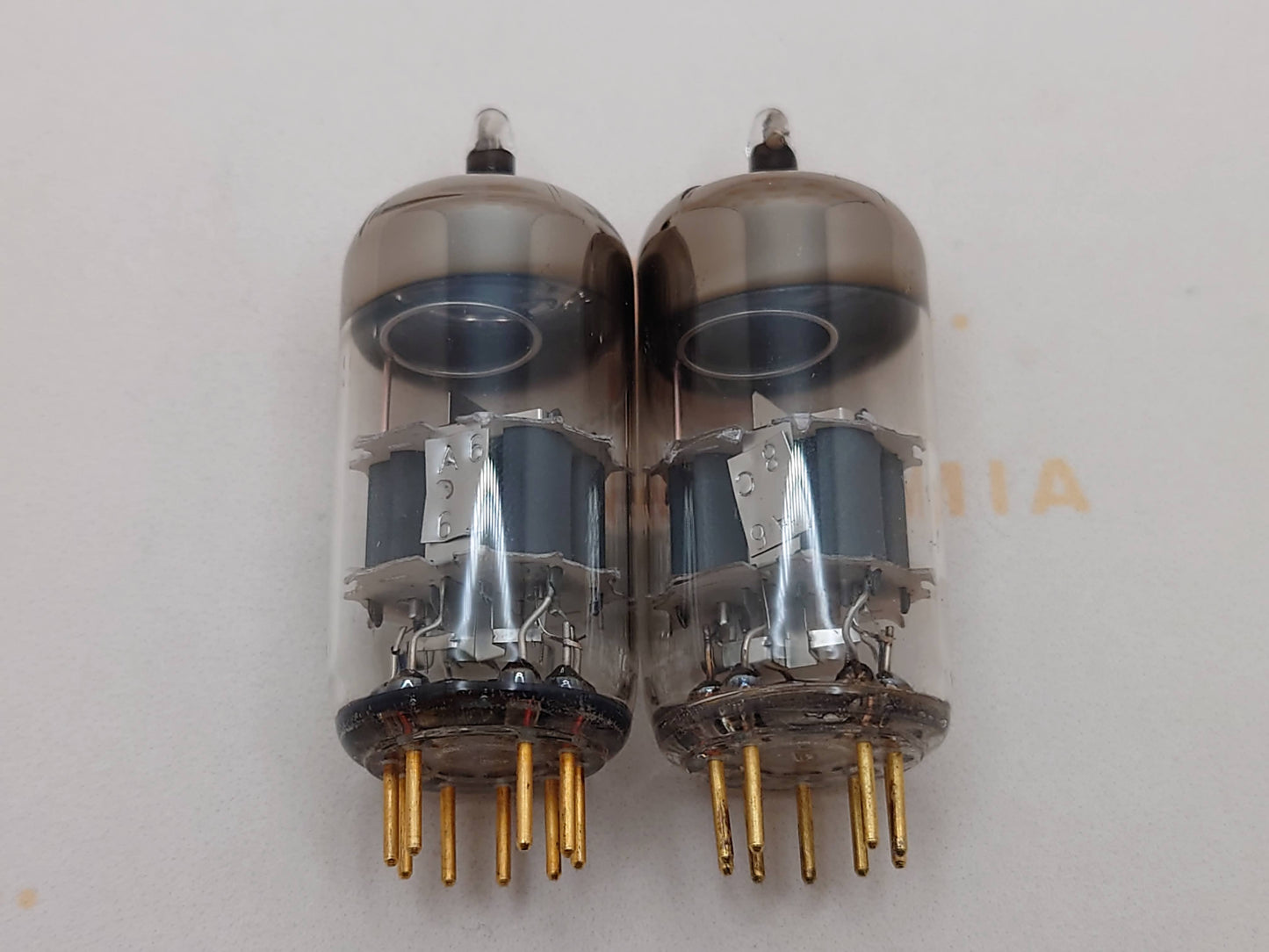 Siemens CCa (E88CC+) Silver Shields Munich