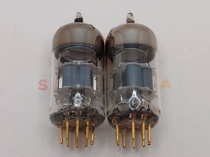 Siemens CCa (E88CC+) Silver Shields Munich