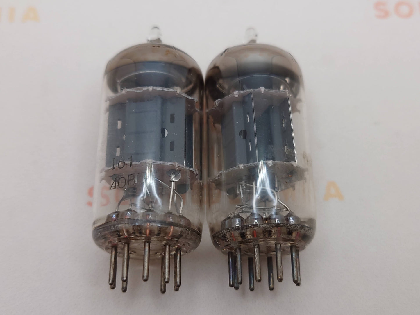 Philips ECC83 12AX7 Short Plates O-getter - Heerlen